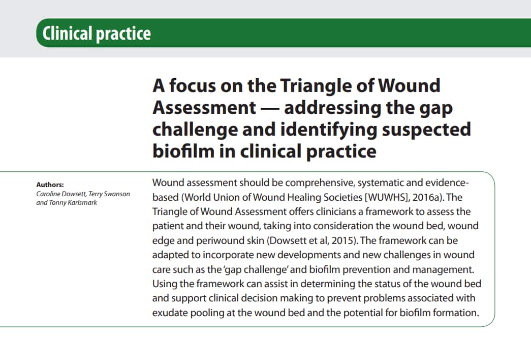 A focus on the Triangle of Wound Assessment - addressing the gap challenge and identifying suspected biofilm in clinical practice