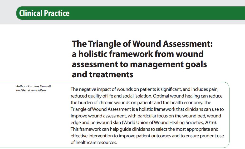 The Triangle of Wound Assessment: a holistic framework from wound assessment to management goals and treatments